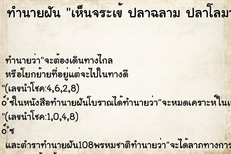 ทำนายฝันทำนายฝันเห็นจระเข้ปลาฉลามปลาโลมาตัวใหญ่